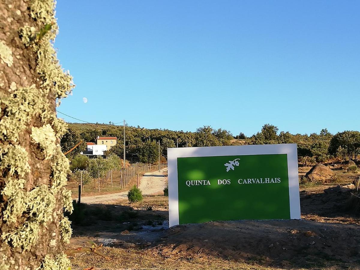 Quinta Dos Carvalhais - Serra Da Estrela フォルノス・デ・アルゴドレス エクステリア 写真