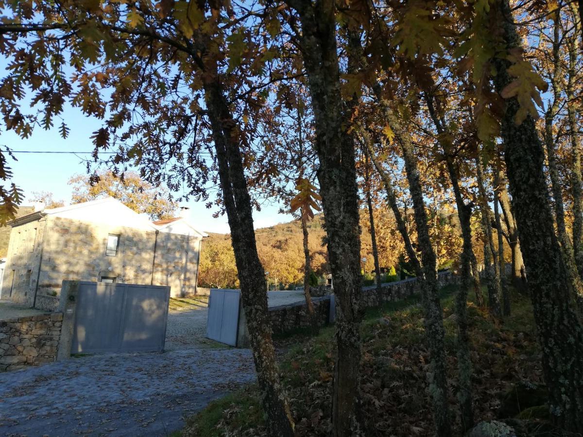 Quinta Dos Carvalhais - Serra Da Estrela フォルノス・デ・アルゴドレス エクステリア 写真