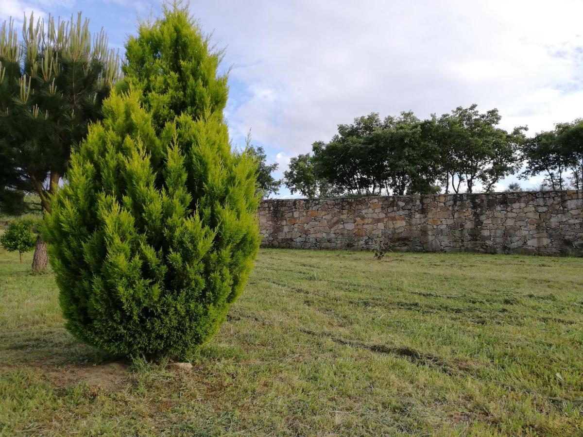 Quinta Dos Carvalhais - Serra Da Estrela フォルノス・デ・アルゴドレス エクステリア 写真