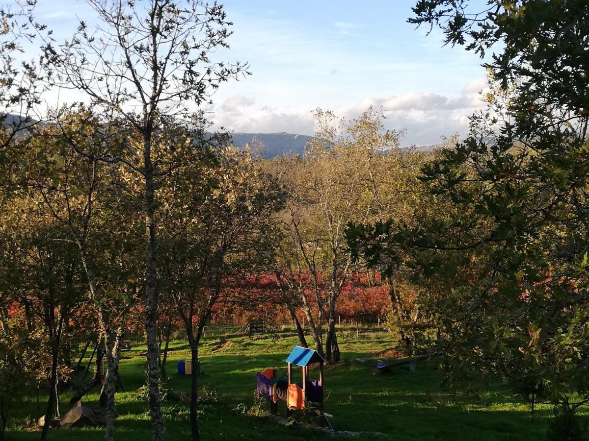 Quinta Dos Carvalhais - Serra Da Estrela フォルノス・デ・アルゴドレス エクステリア 写真