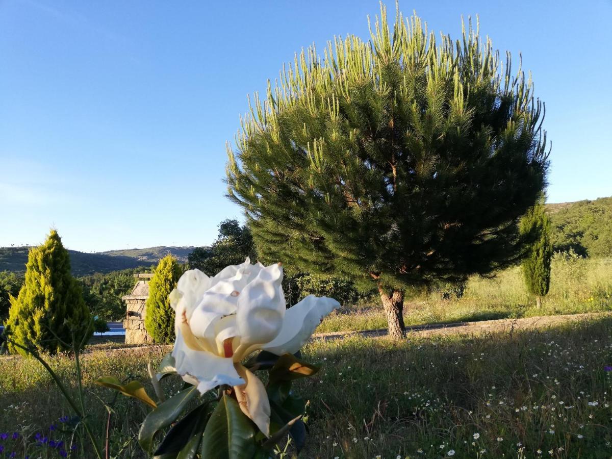 Quinta Dos Carvalhais - Serra Da Estrela フォルノス・デ・アルゴドレス エクステリア 写真
