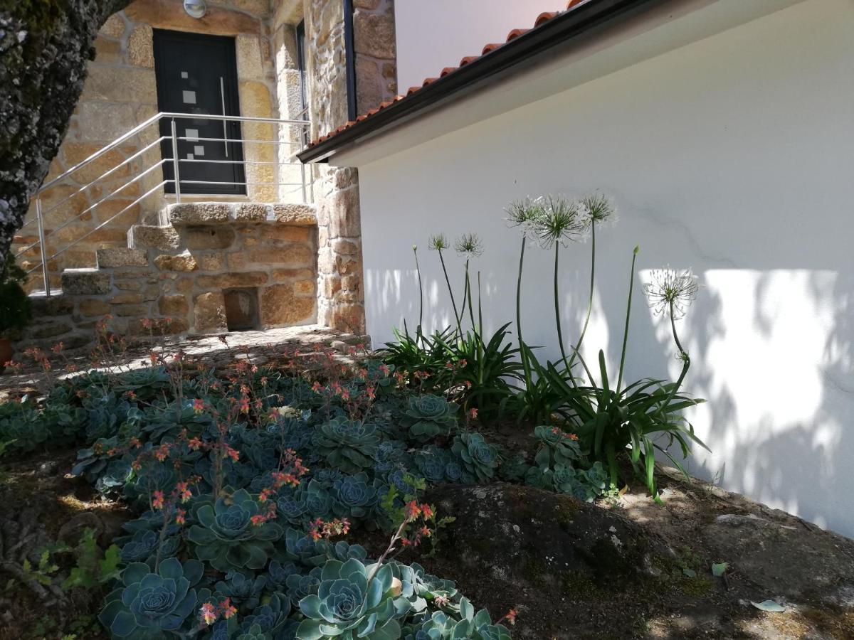 Quinta Dos Carvalhais - Serra Da Estrela フォルノス・デ・アルゴドレス エクステリア 写真