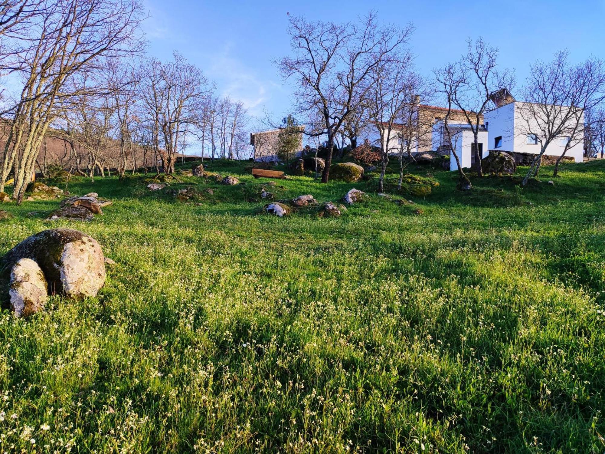 Quinta Dos Carvalhais - Serra Da Estrela フォルノス・デ・アルゴドレス エクステリア 写真