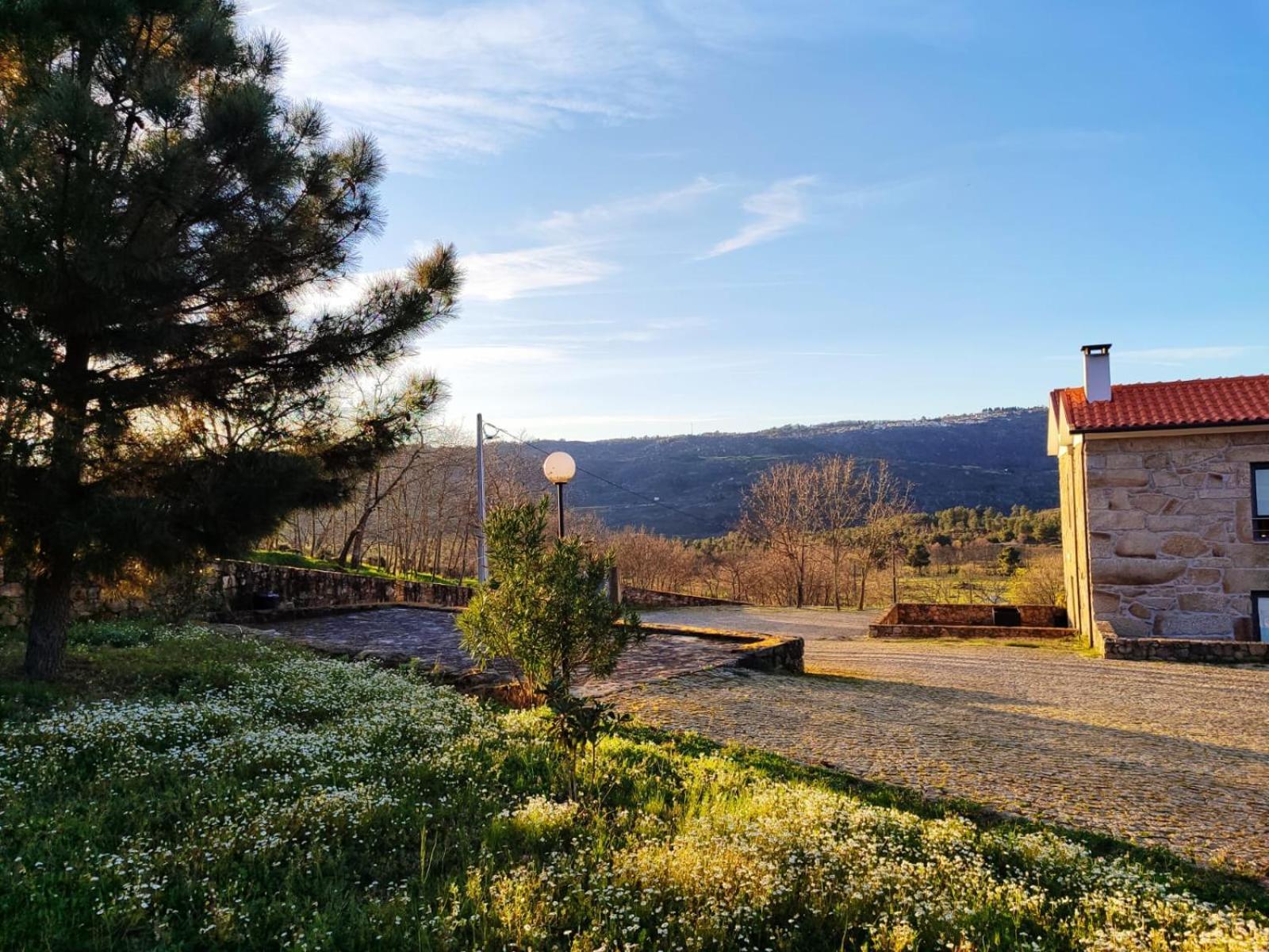 Quinta Dos Carvalhais - Serra Da Estrela フォルノス・デ・アルゴドレス エクステリア 写真