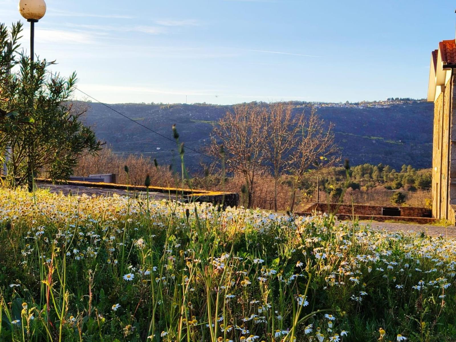 Quinta Dos Carvalhais - Serra Da Estrela フォルノス・デ・アルゴドレス エクステリア 写真