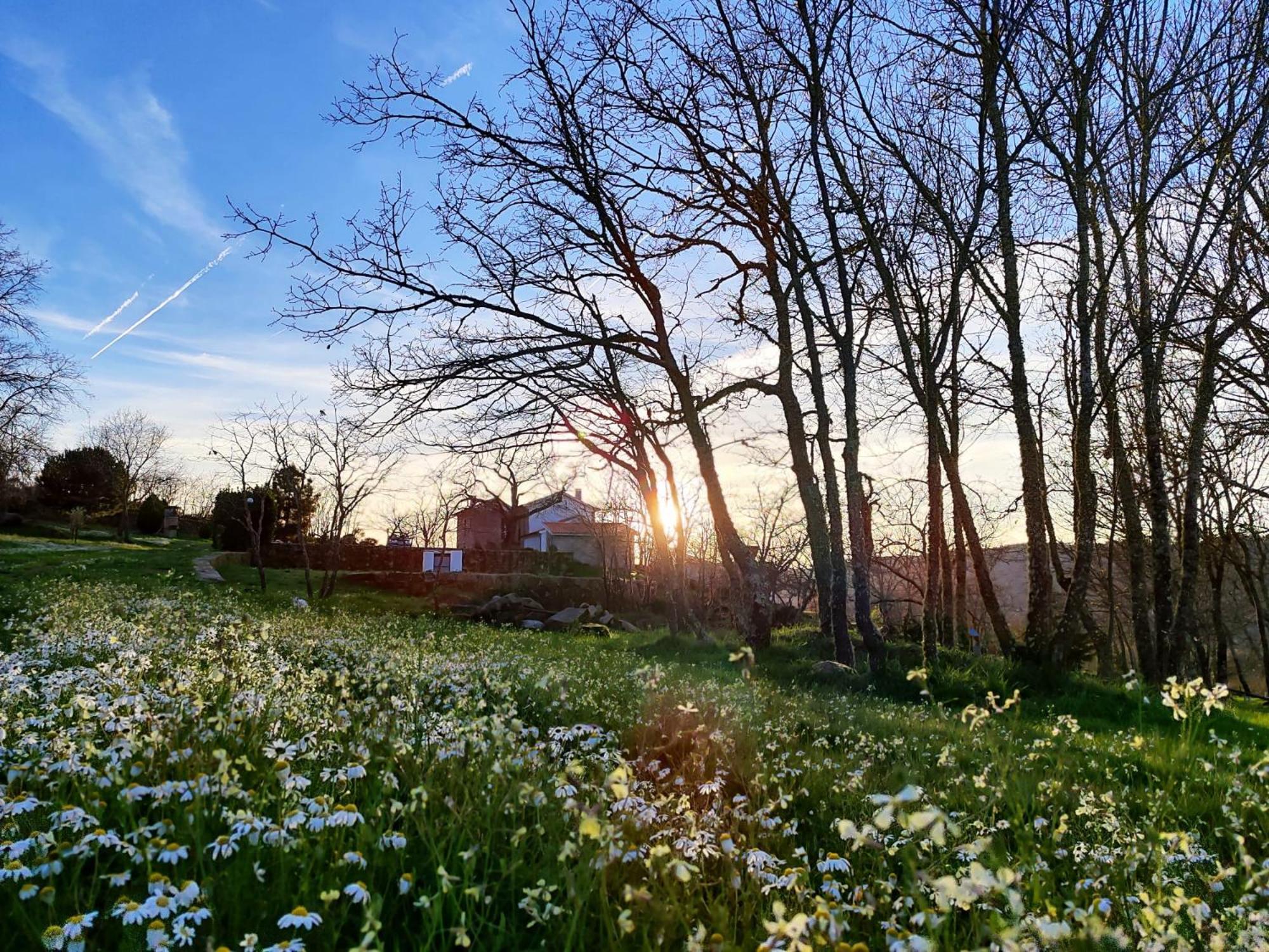Quinta Dos Carvalhais - Serra Da Estrela フォルノス・デ・アルゴドレス エクステリア 写真