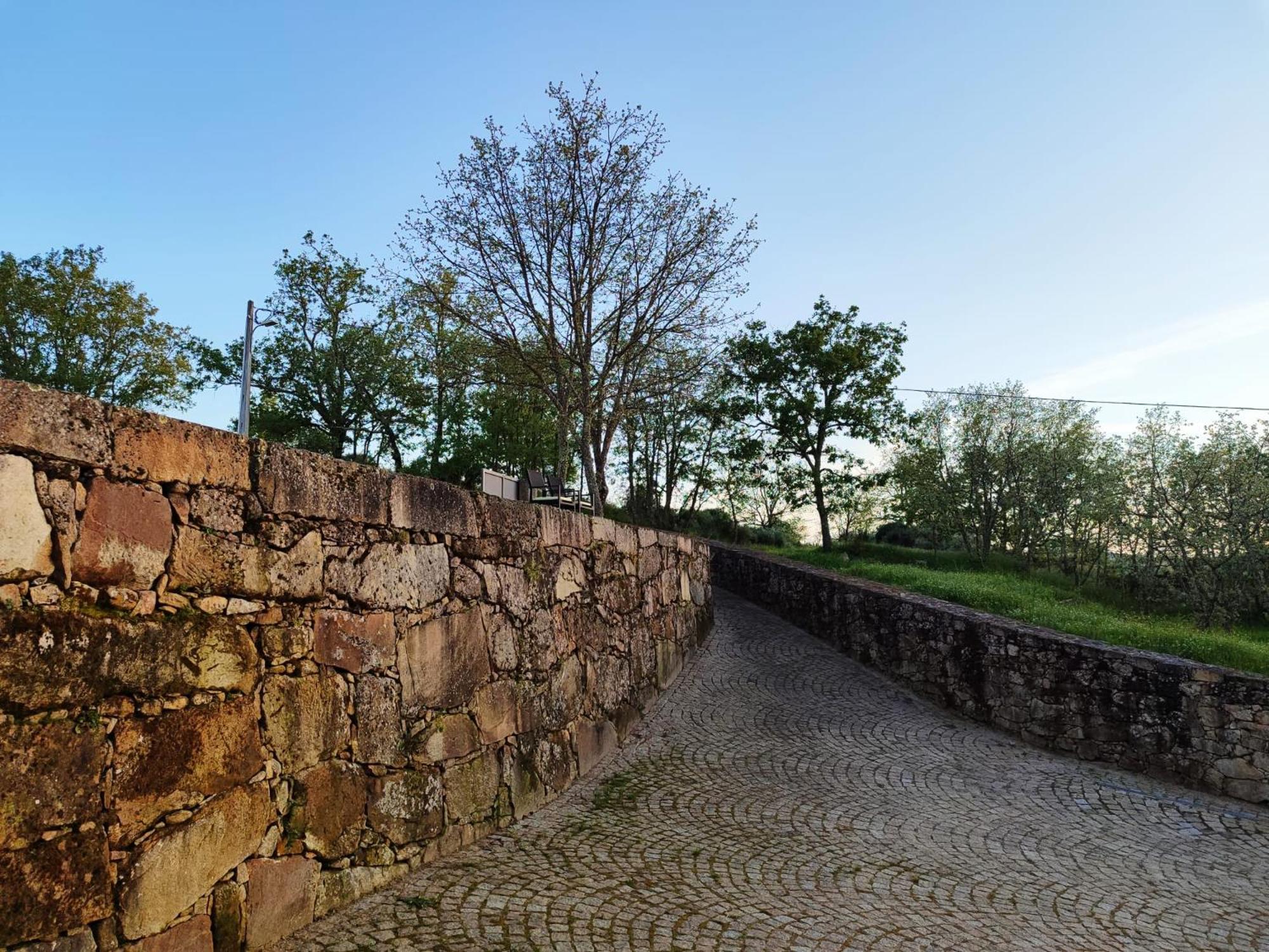 Quinta Dos Carvalhais - Serra Da Estrela フォルノス・デ・アルゴドレス エクステリア 写真