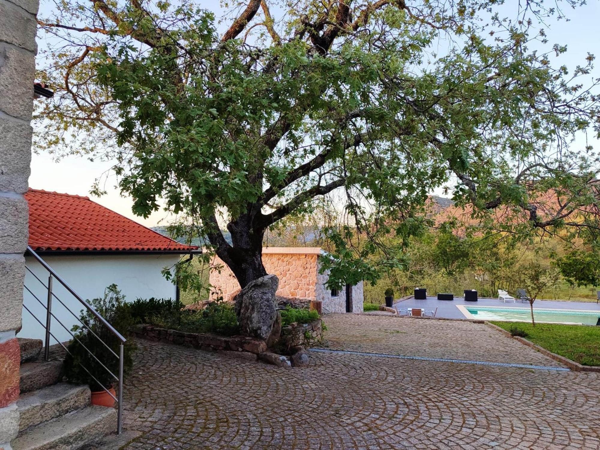 Quinta Dos Carvalhais - Serra Da Estrela フォルノス・デ・アルゴドレス エクステリア 写真
